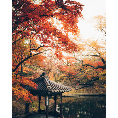 Kodak Professional Ektar 100 Color Negative Film (35mm Roll Film, 36 Exposures)