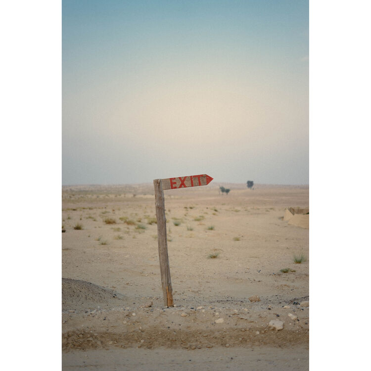 Kodak Professional Portra 400 Color Negative Film (35mm Roll Film, 36 Exposures)