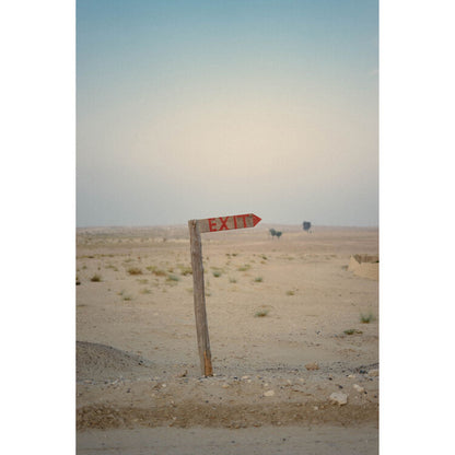 Kodak Professional Portra 400 Color Negative Film (35mm Roll Film, 36 Exposures)