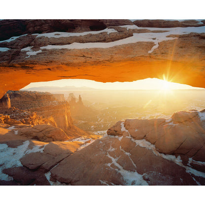 Kodak Professional Portra 400 Color Negative Film (35mm Roll Film, 36 Exposures)