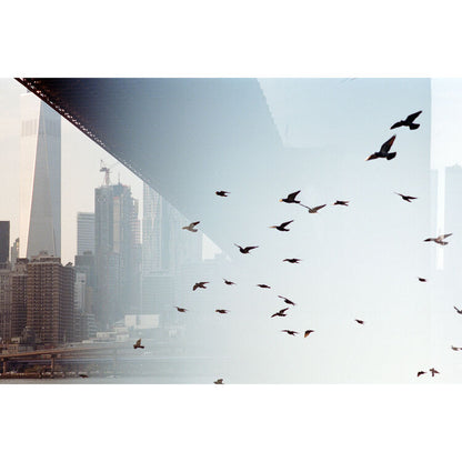 Kodak Professional Portra 400 Color Negative Film (35mm Roll Film, 36 Exposures)